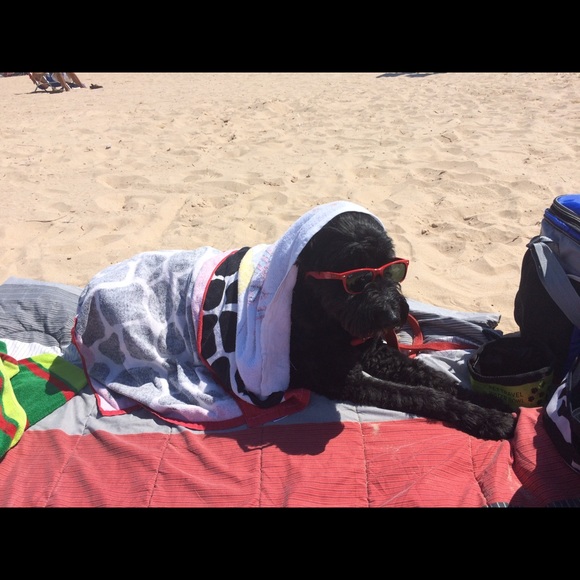 Meet your Posher, Cole - Picture 1 of 1